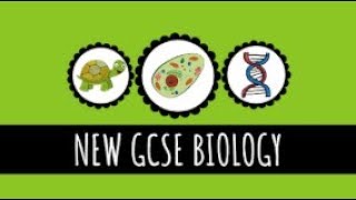 Evaporation and Transpiration  91 GCSE Biology [upl. by Petersen]