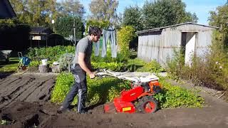 ⚙️ Einachser mit Gartenfräse im Einsatz  Rasen neu anlegen [upl. by Mcclish]