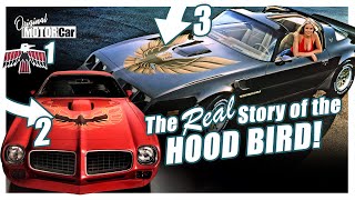 The REAL Story of the Pontiac Firebird Hood Bird [upl. by Ynavoj]