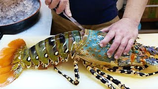 Japanese Street Food  600 GIANT RAINBOW LOBSTER Sashimi Japan Seafood [upl. by Kalil]