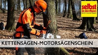 Motorsägenschein für Kettensäge [upl. by Quinton]