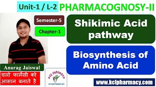 Shickmic Acid Pathway  Biosynthesis of Aromatic Amino Acids  L2 Unit1  Sem5  PharmacognosyII [upl. by Brandt495]