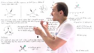 Introduction to Amino Acids [upl. by Oek]