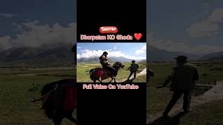 Dhorpatan KO Horse Ride ❤️ shortsviral dhorpatan nepali vlogger nepal vlog rjstyles Youtube [upl. by Tiertza819]