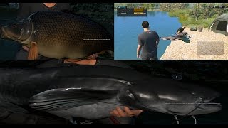 Dovetail Games Euro Fishing Gameplay Multiplayer FR Big BOSS 12 [upl. by Aidne]