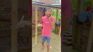 কোন বিপদ থেকে বাঁচালাম 😭🙏 কী ছিল পাখির খাবারে 😱 vlog minivlog comedy funny fun birds [upl. by Oakman]