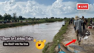 MINDBLOWING Real Life Fishing Adventures in Countryside bigfish fishingtips flood [upl. by Georgianne]