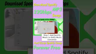 How to Stream Spotify 320kbps High Quality spotifyplaylist 320kbps highquality [upl. by Latrell]