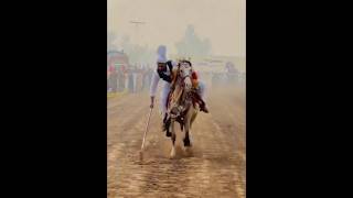 Nazabazi with Mubashar Tiwana beautifulhorses horse pakistan punjab youtube youtubeshorts [upl. by Jennilee]