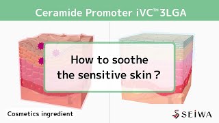 Vitamin C derivative  iVC 3LGAs skin barrier improvement effect [upl. by Hedve512]