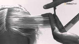 Haircut Crunchy Trailer  Video2Hair [upl. by Wivina]