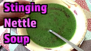 Stinging Nettle Soup  Delicious  Foraging Tips And Recipe [upl. by Marnie837]