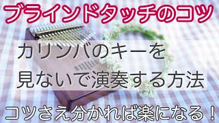 【ブラインドタッチのコツと練習法】カリンバをもっと楽しむために【kalimba tips】鍵盤（キー）を見ずに弾く方法 [upl. by Bloem607]