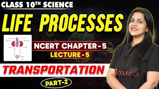 Transportation in Human Beings Class 10  PART 2  Life Processes  L5  Class 10 Science Chapter 5 [upl. by Anital332]