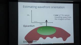 Optical mapping in cardiac tissue Advances and applications [upl. by Arnoldo]