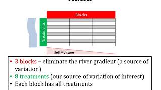 Lecture 19 Experimental Designs RCBD Randomized Complete Block Design ANOVA Two Way ANOVA [upl. by Airbmat]