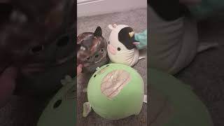 AVADA KEDAVRA duet with lutralutrapeacock funny squishmallows [upl. by Weihs]