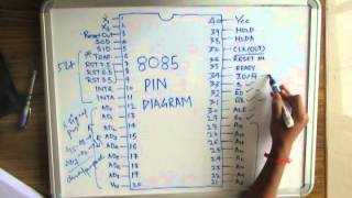 8085 Pin Diagram [upl. by Gaynor]