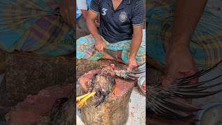 Amazing Special Desi Chicken Cutting Skills In Bangladesh Chicken Market 😱 shorts [upl. by Ditmore240]