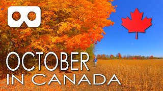 October in Canada Experience A Spectacular Autumn Day In Canada In Virtual Reality [upl. by Catlin]