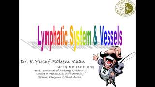 Anatomy of Lymphatic System  Dr Yusuf [upl. by Lynnett574]