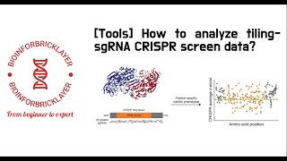 【Bioinformatics  Tools 05】 How to analyze tilingsgRNA CRISPR screen data [upl. by Ximenez]