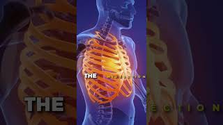 Common Costochondritis Symptoms [upl. by Imot968]