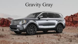 2020 Kia Telluride Color Options  Whats Your Favorite Best New 3 Row SUV [upl. by Cordy]