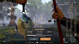 Fishing Planet  Unique Bluegill  Quanchkin Lake [upl. by Gilberta]