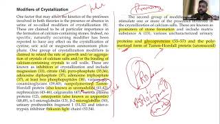 Mnemonic for FRCS Urology Section 1 on Inhibitors and promoters of stone formation  Urolithiasis [upl. by Animsaj]