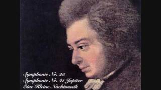 Mozart Symphony No 25 in G minor [upl. by Violet]