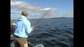 Lake Trout Fishing Manitoba Canada Frank Knossalla Namaycush [upl. by Notslah673]