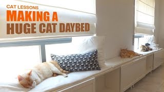 How to Make a Huge Cat Daybed [upl. by Munsey]