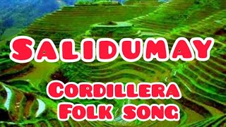 Music of Cordillera  Salidumay  Cordillera Folk Song  Grade 7  Learning [upl. by Prentice102]