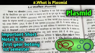 What is Plasmid  Extra chromosomal DNA  Episome BSc first year Botany [upl. by Loresz]