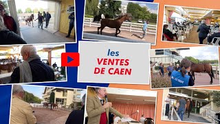 Bande annonce Les VENTES de CAEN 2023 en direct [upl. by Wills]