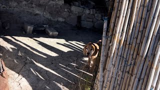 Las casitas avandonadas del Torbellino [upl. by Karr]