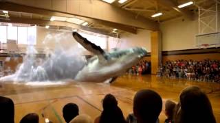 Whale Surprise Jumps into a Gym in Mixed Reality Exciting by Magic Leap [upl. by Haldane]