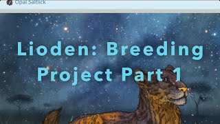 Lioden Breeding Project Part 1 [upl. by Ettevol]