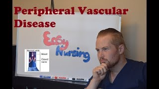 Peripheral Vascular Disease PVD  NCLEX Review [upl. by Parnell233]