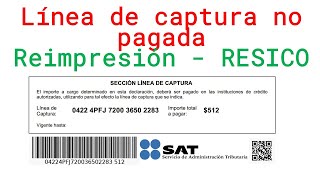 Como Reimprimir Línea Captura Vencida RESICO 2024  Régimen Simplificado de Confianza [upl. by Remoh]