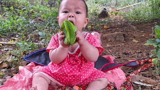 17 years old harvest star fruit to sell buy vegetables to grow [upl. by Akiras404]