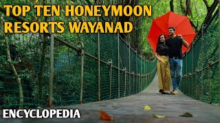 BEST HONEYMOON RESORTS WAYANAD  TOP TEN RESORTS EXPLAINED  WAYANAD RESORT WITH ROOM RATES [upl. by Mauchi236]