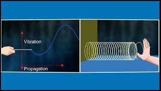 Transverse Waves ⚡3d animation  Class 9 physics [upl. by Errol486]