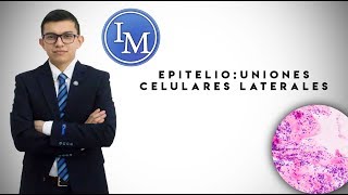 Histología  Epitelios  Uniones celulares laterales [upl. by Uzia]