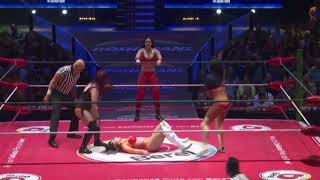 CMLL Finisher  Tessa Blanchard  Magnum [upl. by Merralee929]