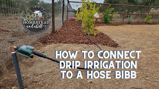 How to Install a Drip Irrigation Head Assembly Beginners Guide [upl. by Hamfurd]