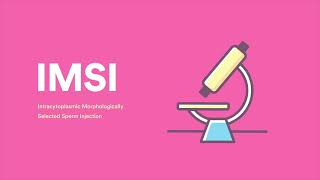 IMSI Intracytoplasmic Morphologically Selected Sperm Injection shorts [upl. by Hujsak587]