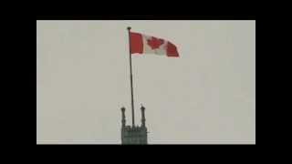 Hedwigs Theme from Harry Potter on the Peace Tower carillon [upl. by Eimat946]