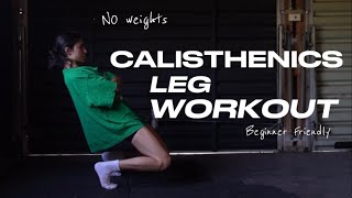 CALISTHENICS LEG WORKOUT  NO WEIGHTS beginner friendly [upl. by Albric]